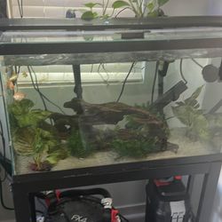 30 Gallon Fish Tank Complete With Fluval 407