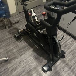 PYHIGH S7 Exercise Bike 