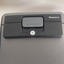Sentry Safe