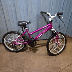 Kent 20 inch mountain bike ready to ride needs nothing