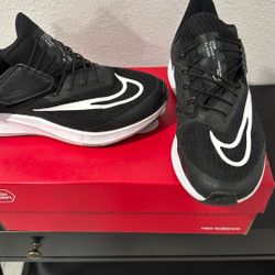 Nike Pegasus FlyEase