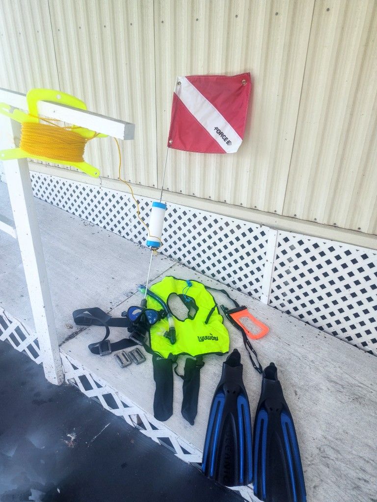 Brand New Snorkel Gear