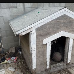 Free Dog House 