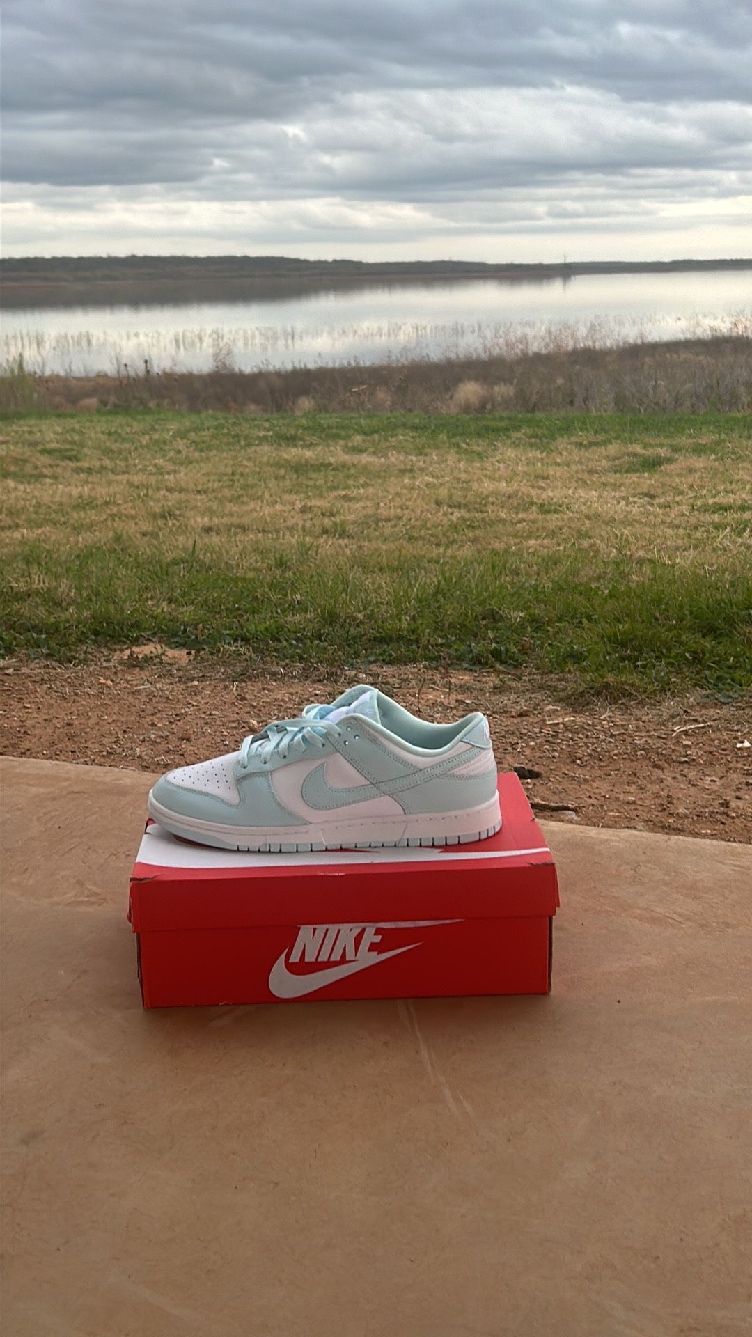 Nike Dunk Low