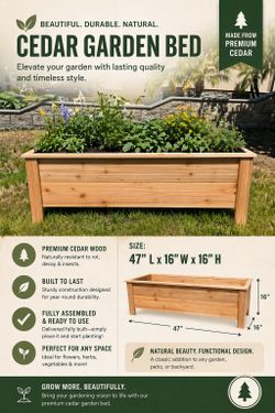 Raised Garden Beds 🌼🥒🥦🍓🌶️