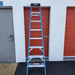 Werner 250 lb 8 ft ladder 