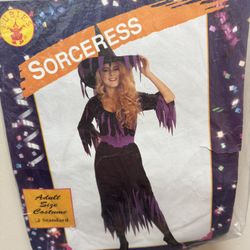 Adult Sorceress Costume 
