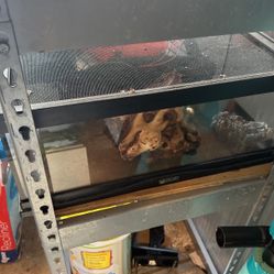 7.5 Gallon Reptile Tank 
