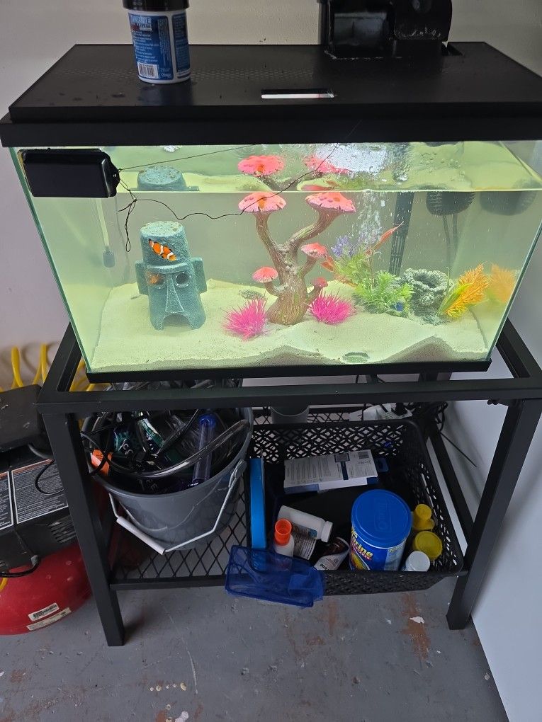 Fish Tank For Sale