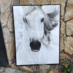 Horse Art canvas