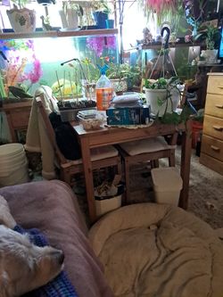 Table and Matching Chairs With Cushions.  Like New.