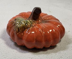 Little Pumpkin Display 