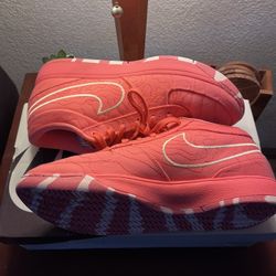 Nike Book 1 Size 11.5