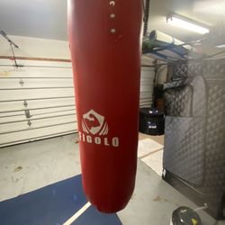 Punching Bag