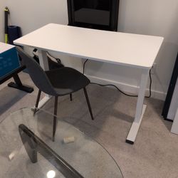 Standing Adjustable Desk