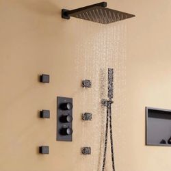 12" Wall Mounted Thermostatic Luxury Shower System $80