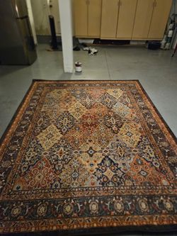 Multi Colored Rug