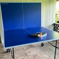 Ping pong Table 