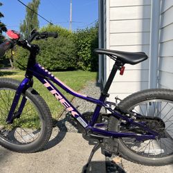 Trek 20” Precaliber Kids Bike