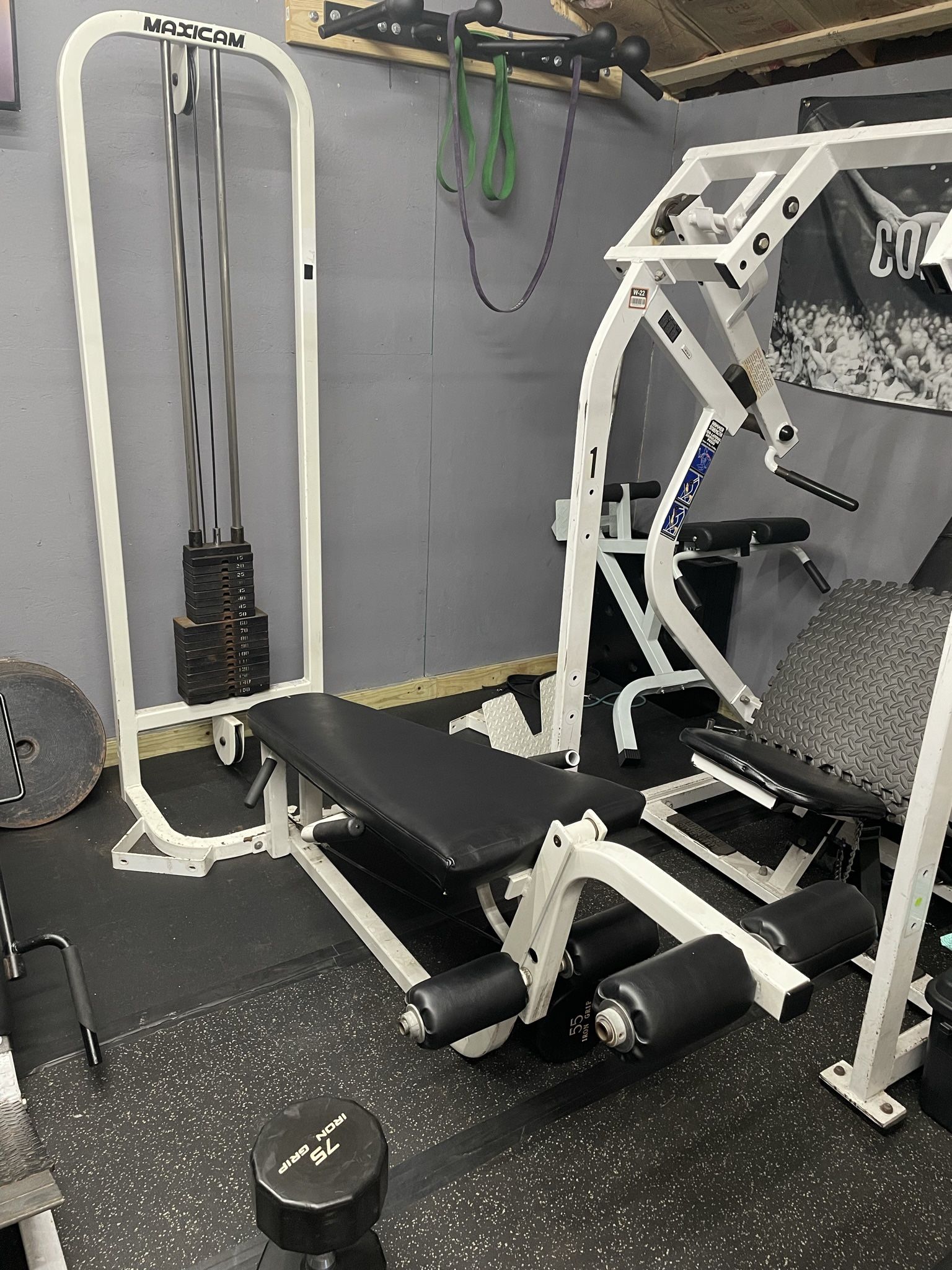 Maxicam Leg Curl/ Extension / Seated Row