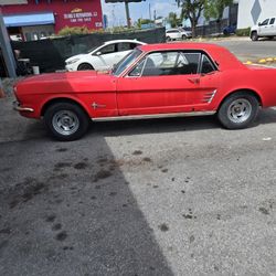 1966. Ford  Mustang 