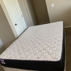 QUEEN SLEEPYS FIRM MATTRESS AND FREE BOX SPRING