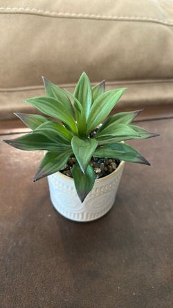 Faux Succulent in Decorative Ceramic Planter