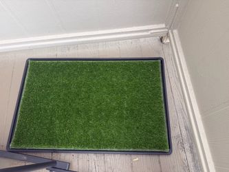 Dog grass pads