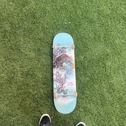 skate board 