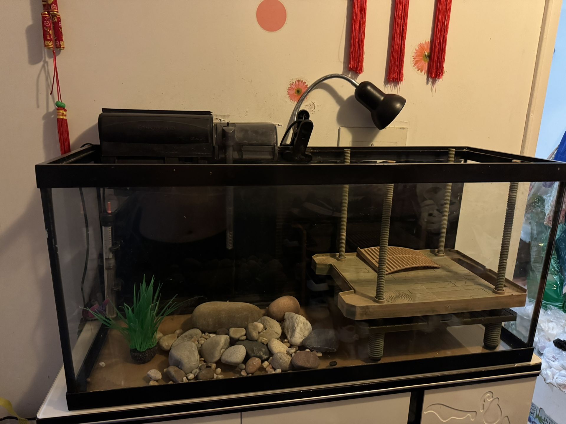 30 Gallon Fish Tank