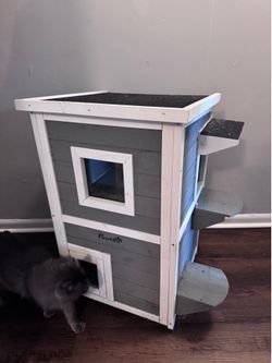 Outdoor cat house