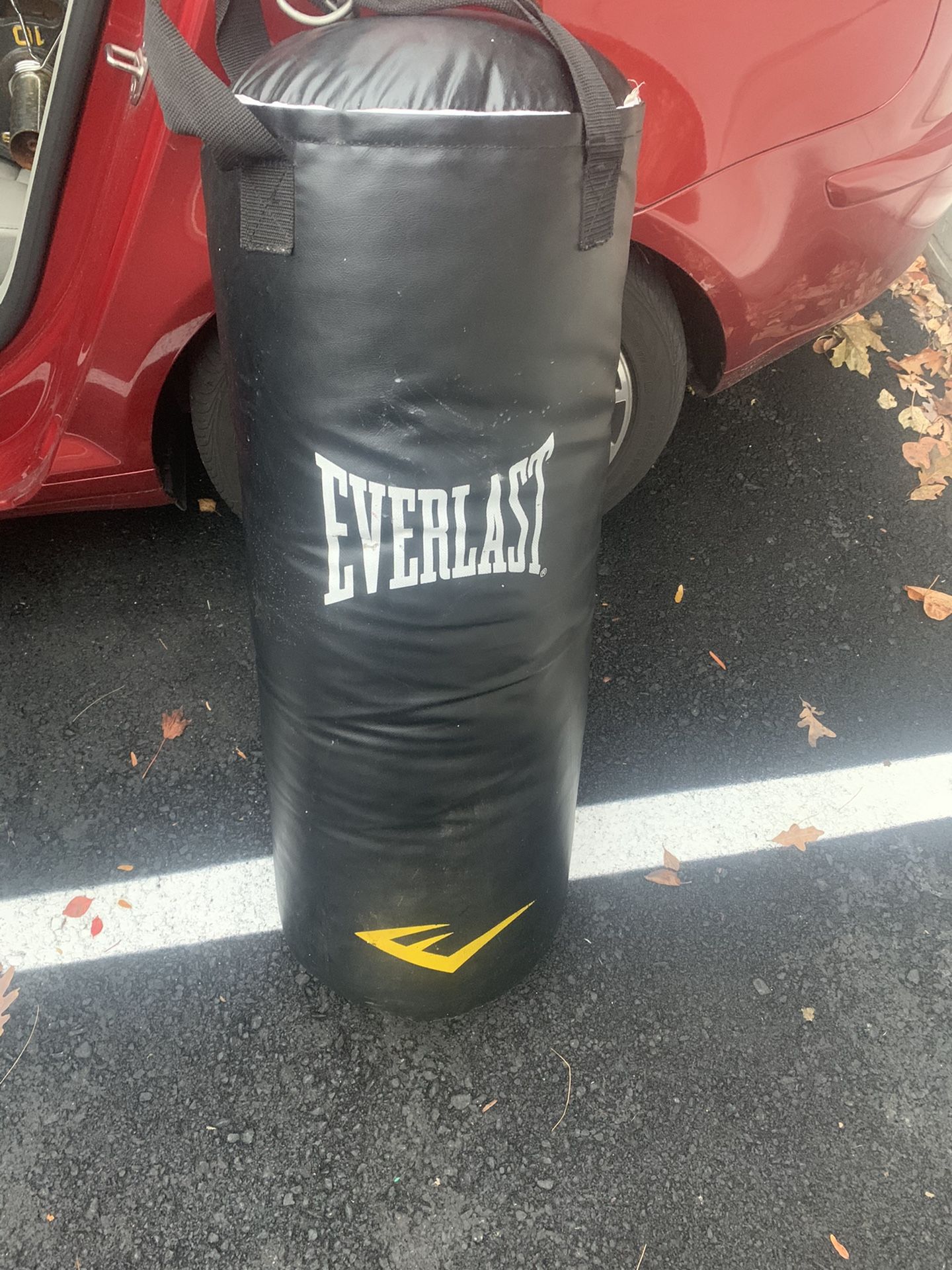 Everlast punching bag