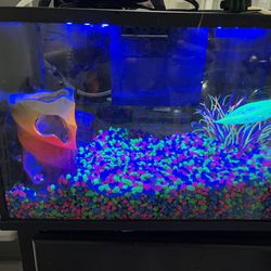 Glow Fish tank 