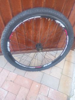 Genesis 29" mountain bike front wheel and tire