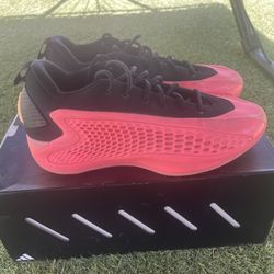 Anthony Edward’s 1 Mural Size 10