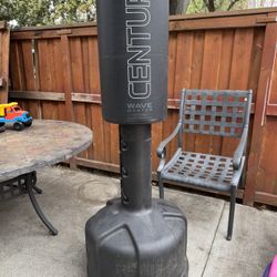 Century Punching Bag