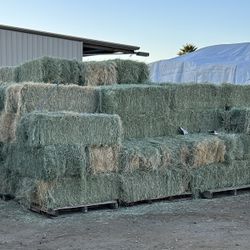 Hay For Sale