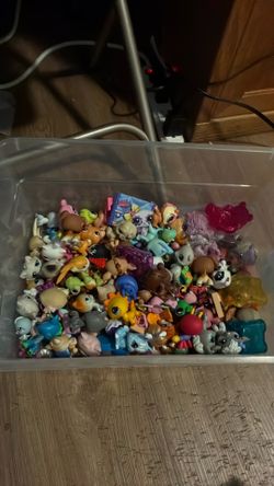 Little pet shop
