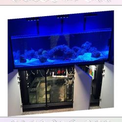 Full Aquarium Tank - Spacious & Eye-Catching word and
