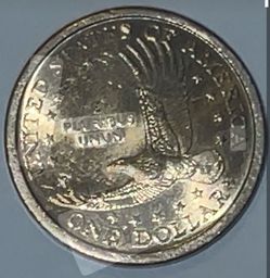 RARE COINS & FOREIGN CURRENCY