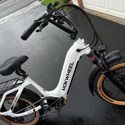 Mokwheel Scoria Electric Bike