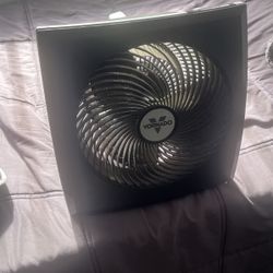 Vornado Fan 
