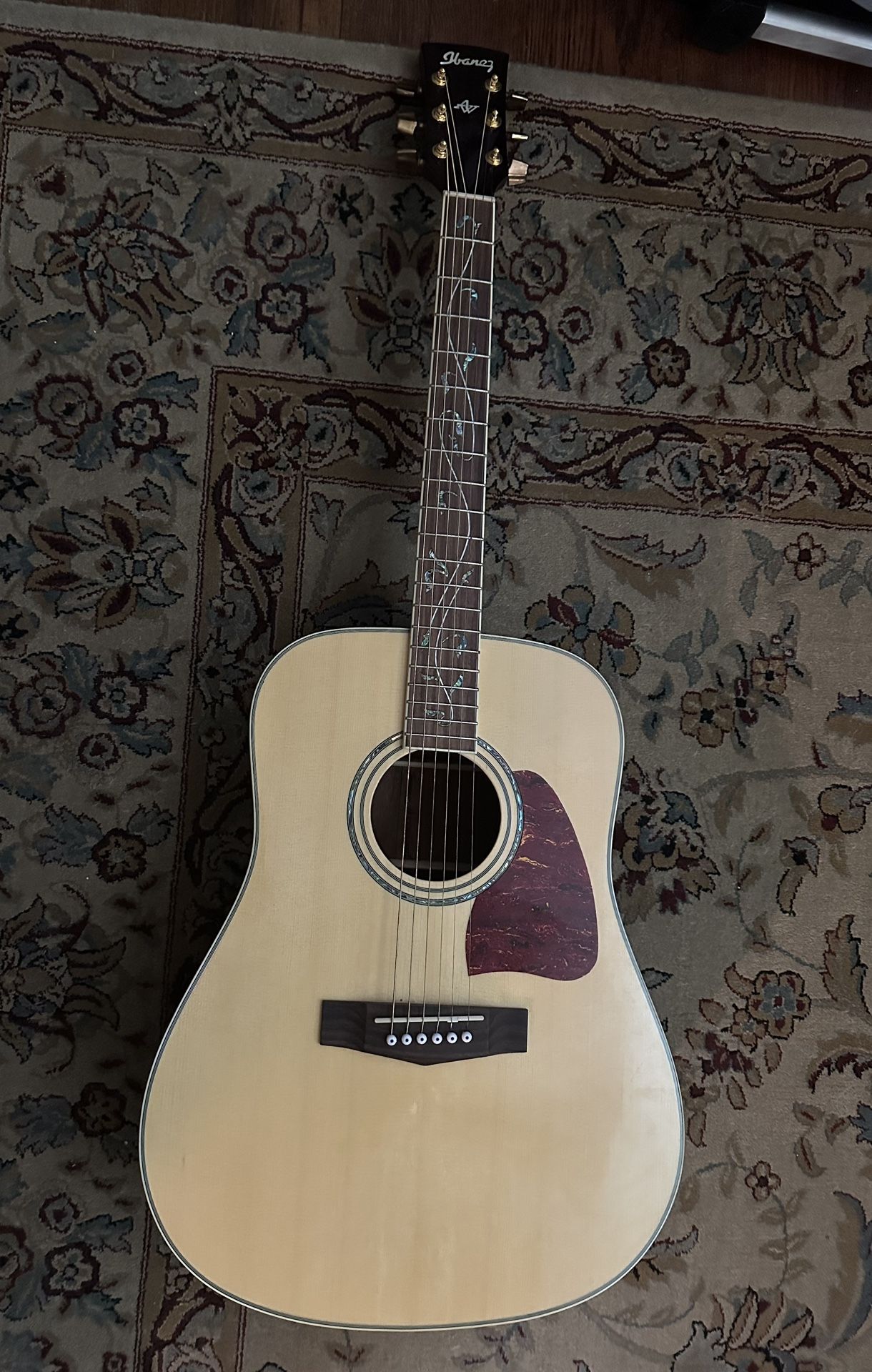Rare Guitar With Case