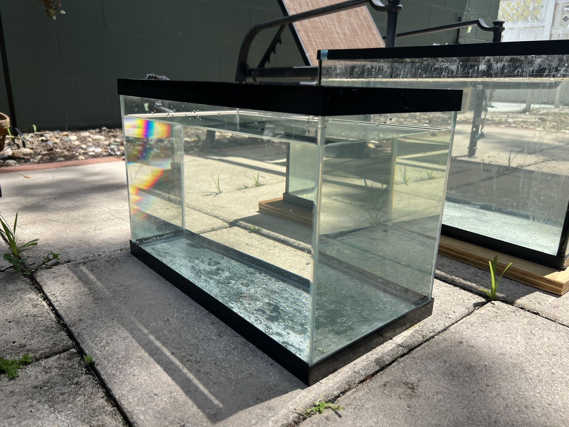 5 Gallon Fish Tank