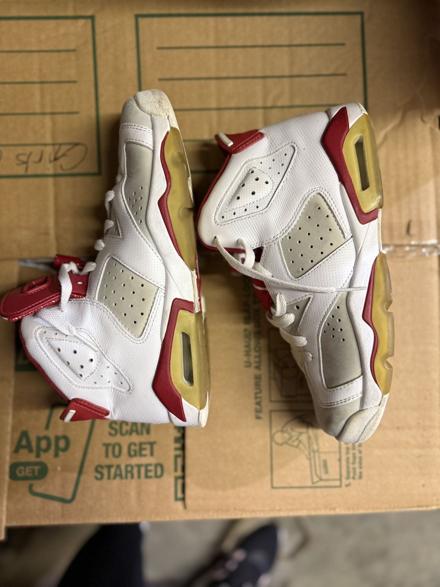 Jordan 6 Retro Alternate Hare