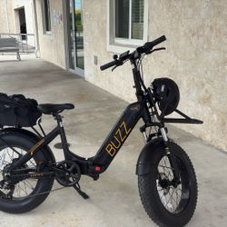 Buzz E-bike 