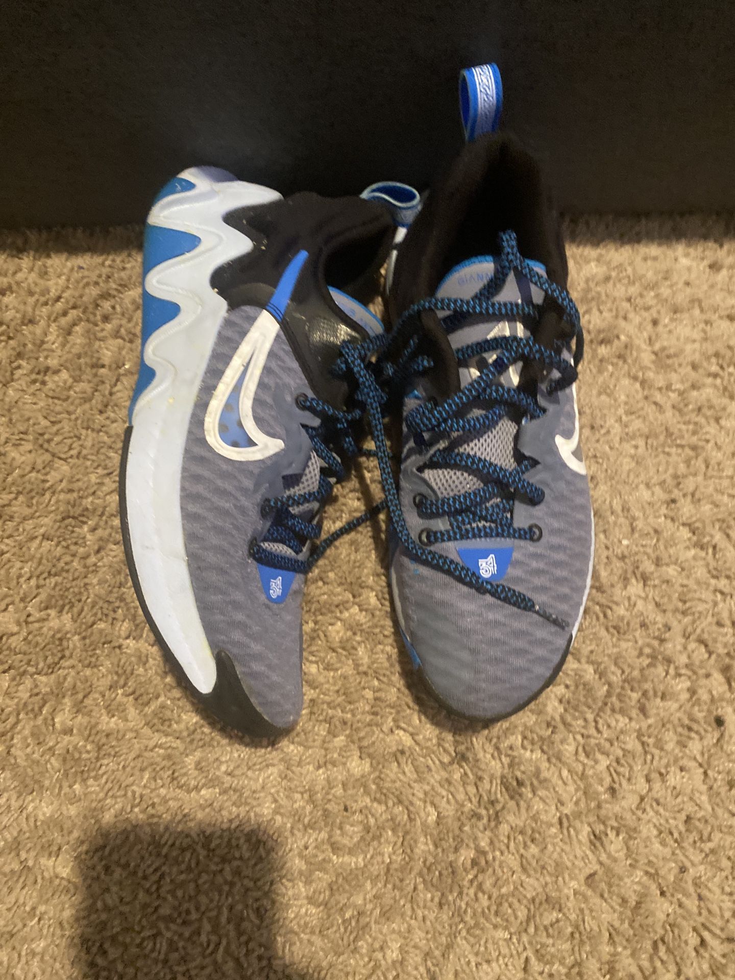 Nike Giannis Immortality (used)