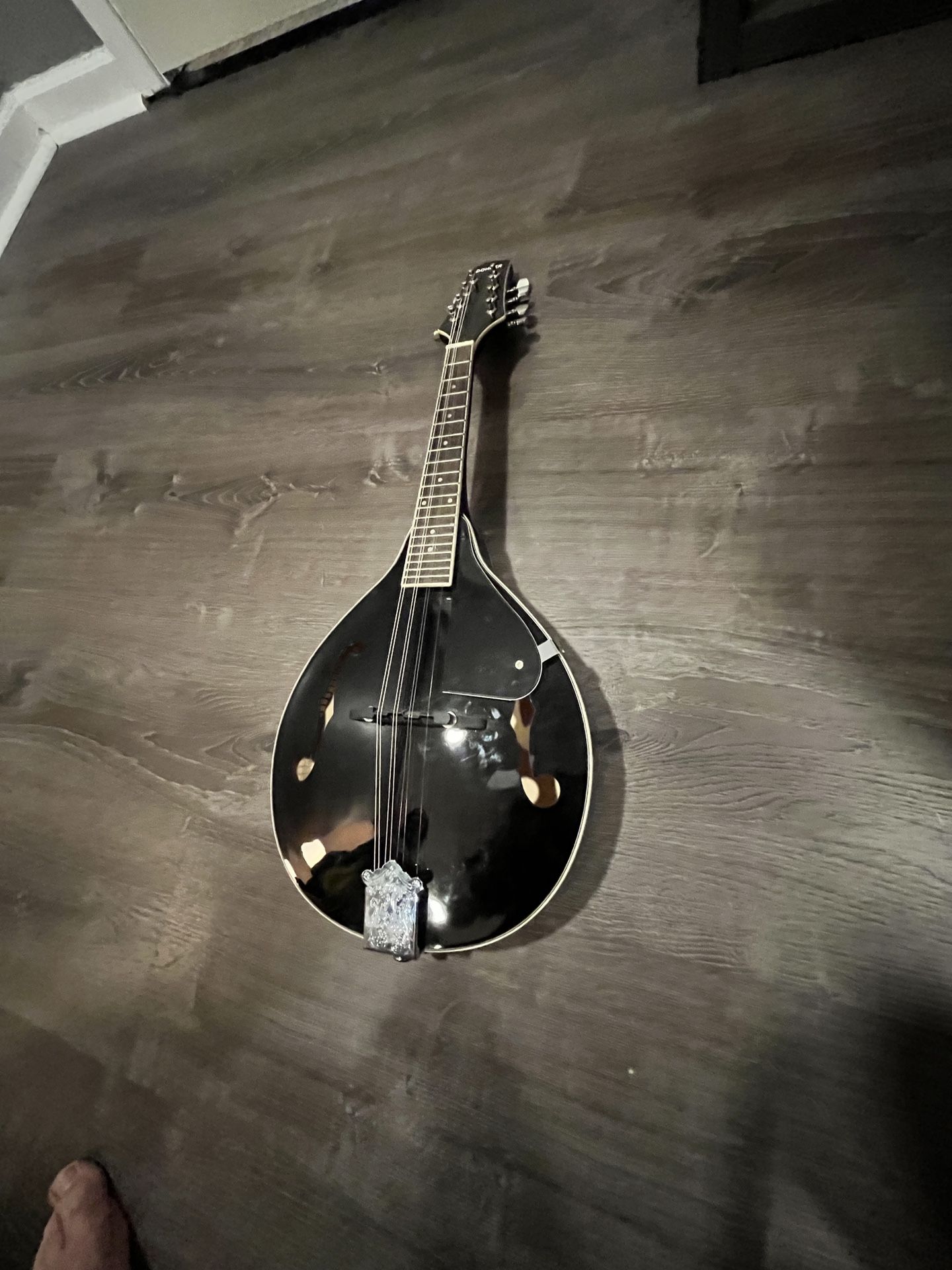 Donner Mandolin