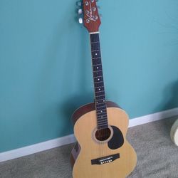 Acoustic Guitar 
