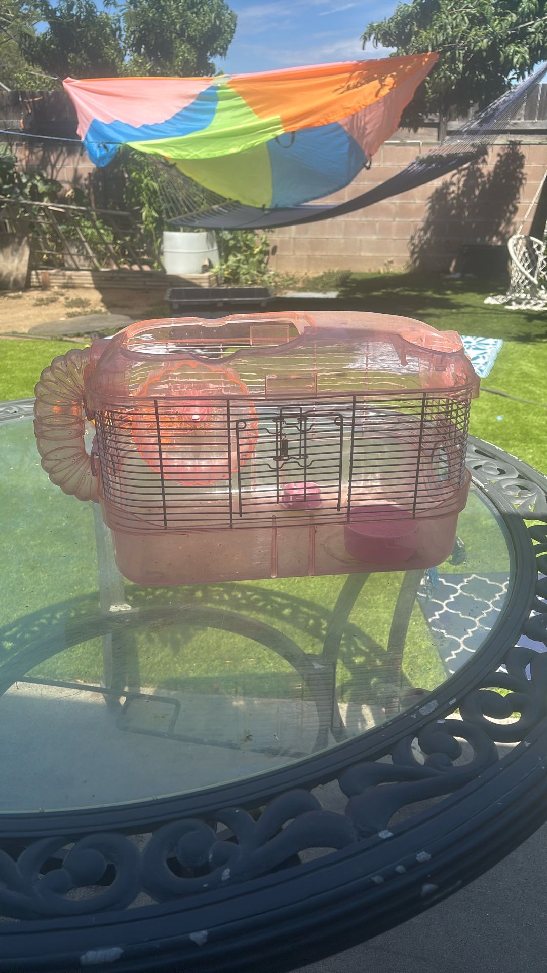 Hamster Cage 